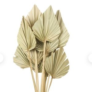3 Dried Palm Spears - Palm Leaf Dried Flower